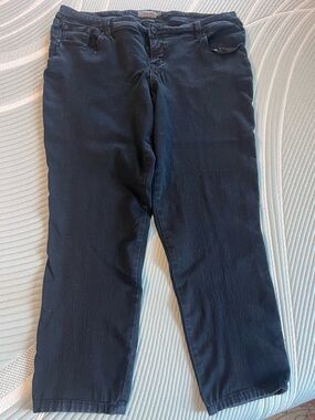 Size 22R- Torrid luxe skinny jeans- black